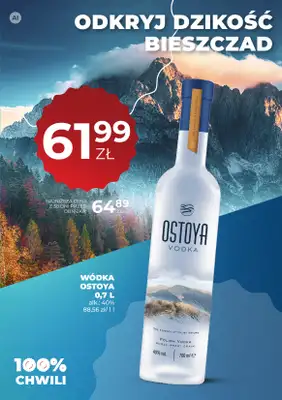 Duży Ben - gazetka promocyjna Gazetka alkoholowa od czwartku 15.10 do środy 28.10 - strona 39