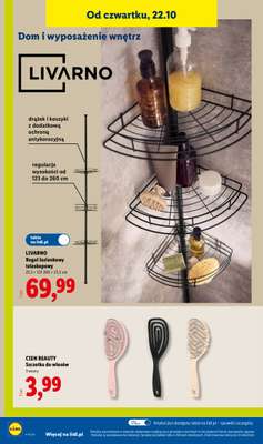 Lidl - gazetka promocyjna Katalog od poniedziałku 19.10 do soboty 24.10 - strona 42
