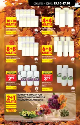 Biedronka - gazetka promocyjna Od czwartku od czwartku 15.10 do środy 21.10 - strona 85