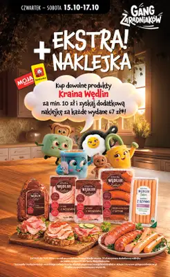 Biedronka - gazetka promocyjna Od czwartku od czwartku 15.10 do środy 21.10 - strona 21