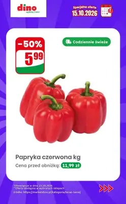 Dino - gazetka promocyjna Specjalna oferta na 15.10.2026 - promocje spoza gazetki od czwartku 15.10 do czwartku 15.10 - strona 2
