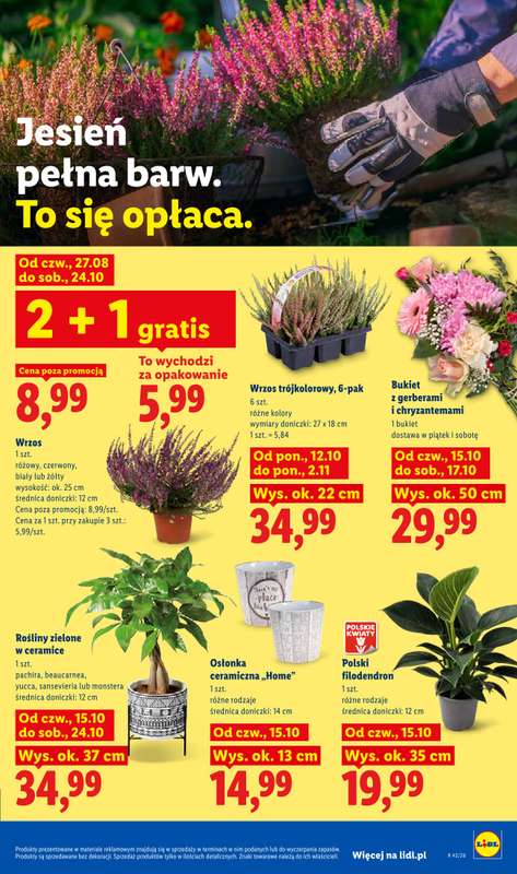 Lidl - gazetka promocyjna Oferta od czwartku od czwartku 15.10 do soboty 17.10 - strona 105