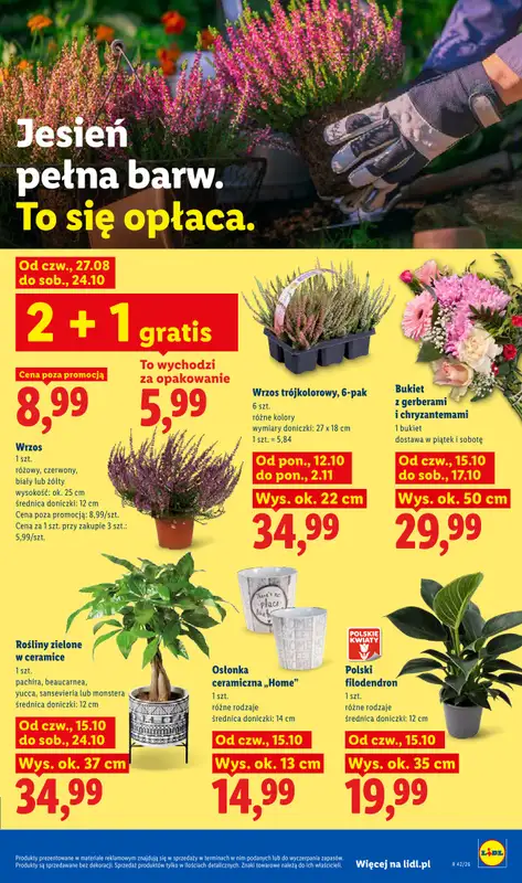 Lidl - gazetka promocyjna Oferta od czwartku od czwartku 15.10 do soboty 17.10 - strona 105