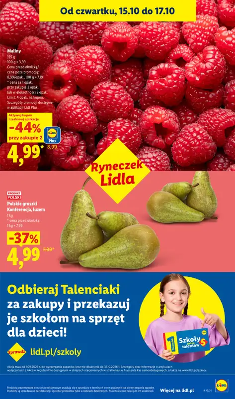 Lidl - gazetka promocyjna Oferta od czwartku od czwartku 15.10 do soboty 17.10 - strona 49