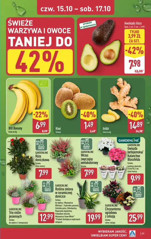 Aldi - gazetka promocyjna Pełny katalog! od poniedziałku 12.10 do soboty 17.10 - strona 43