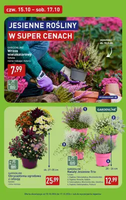 Aldi - gazetka promocyjna Pełny katalog! od poniedziałku 12.10 do soboty 17.10 - strona 44