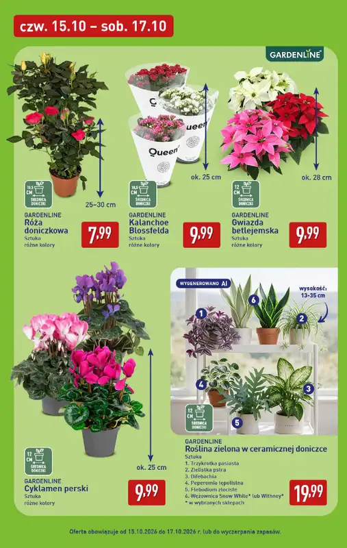 Aldi - gazetka promocyjna Weekend super cen w Aldi! od czwartku 15.10 do soboty 17.10 - strona 7