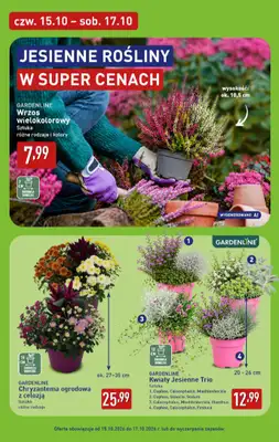 Aldi - gazetka promocyjna Weekend super cen w Aldi! od czwartku 15.10 do soboty 17.10 - strona 6