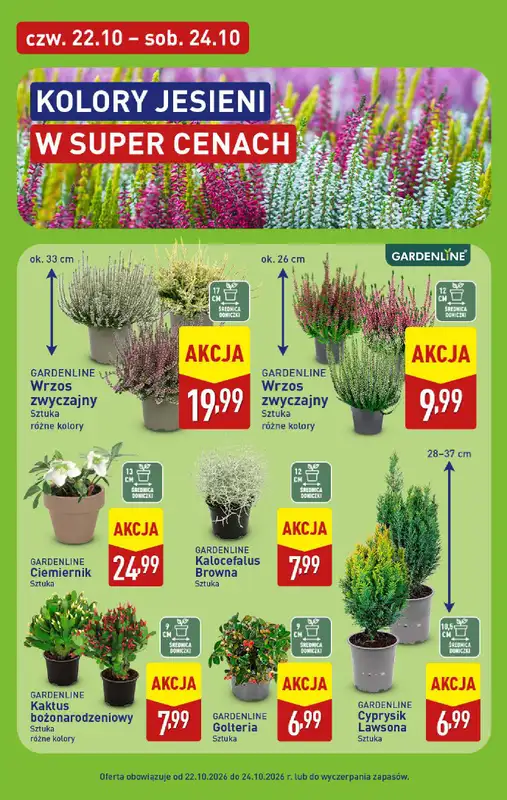Aldi - gazetka promocyjna Pełny katalog! od poniedziałku 19.10 do soboty 24.10 - strona 45
