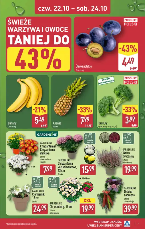 Aldi - gazetka promocyjna Weekend super cen w Aldi! od czwartku 22.10 do soboty 24.10 - strona 7