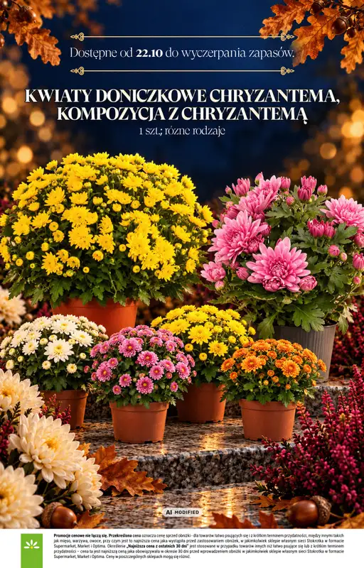 Stokrotka - gazetka promocyjna Katalog Znicze od czwartku 01.10 do środy 04.11 - strona 16