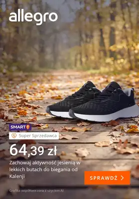 Allegro - gazetka promocyjna Bądź aktywny w jesienne dni od piątku 16.10 do piątku 23.10 - strona 3