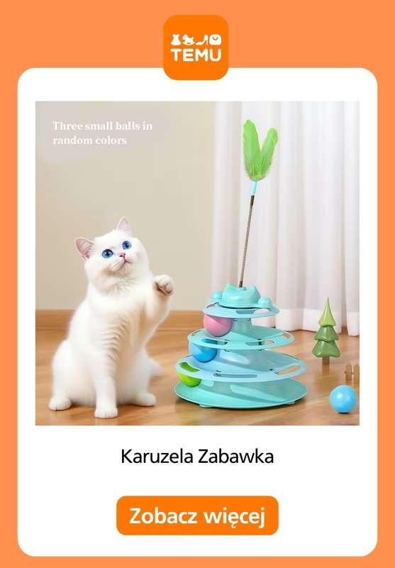 Temu - gazetka promocyjna Artykuły dla zwierząt od czwartku 15.10  - strona 5