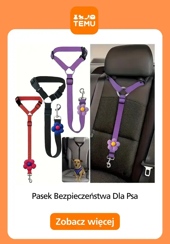 Temu - gazetka promocyjna Artykuły dla zwierząt od czwartku 15.10  - strona 15