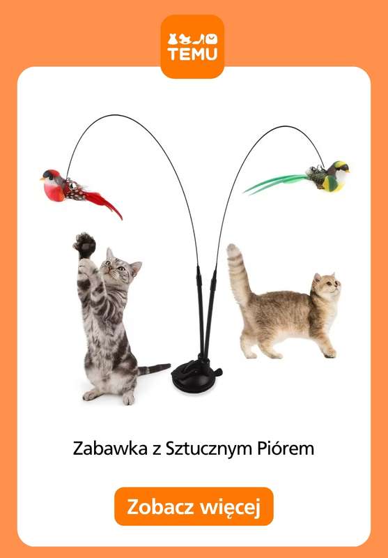 Temu - gazetka promocyjna Artykuły dla zwierząt od czwartku 15.10  - strona 14