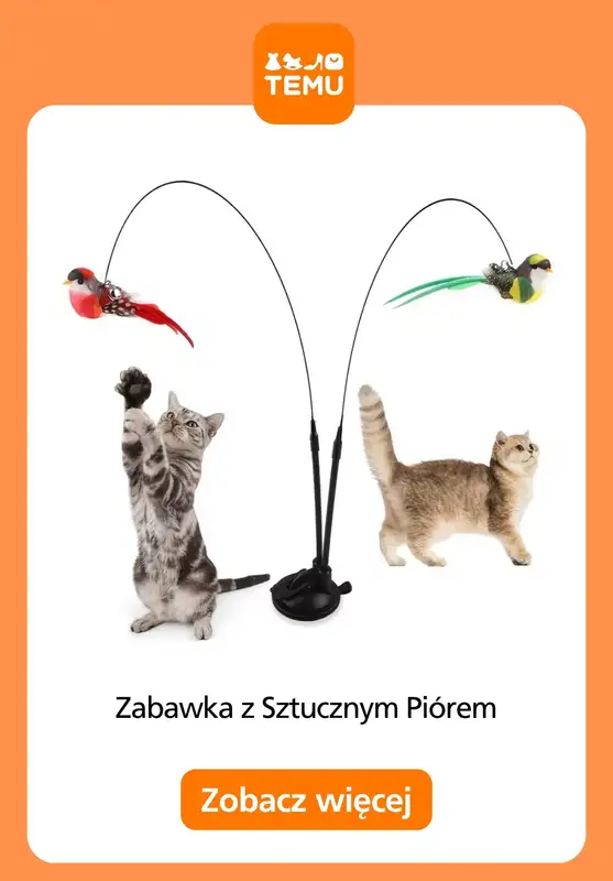 Temu - gazetka promocyjna Artykuły dla zwierząt od czwartku 15.10  - strona 14