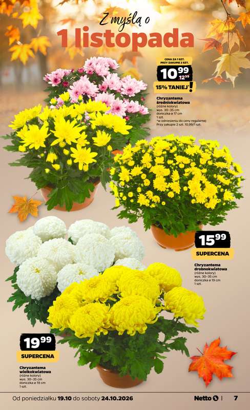 Netto - gazetka promocyjna Gazetka Spożywcza od poniedziałku 19.10 do soboty 24.10 - strona 7