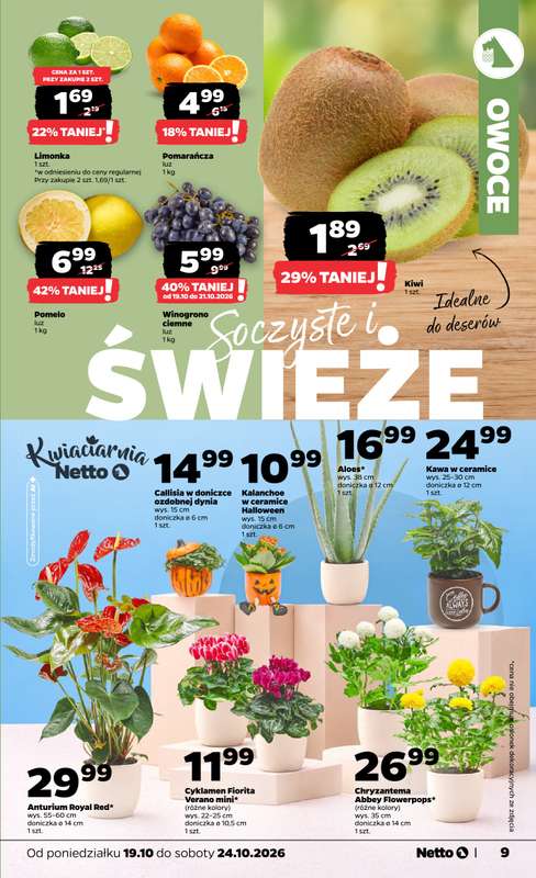 Netto - gazetka promocyjna Gazetka Spożywcza od poniedziałku 19.10 do soboty 24.10 - strona 9