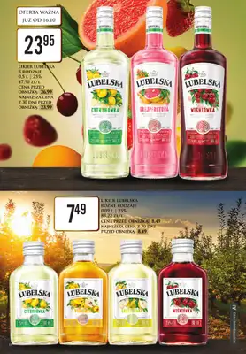 Dino - gazetka promocyjna Katalog alkoholowy od poniedziałku 19.10 do soboty 24.10 - strona 10