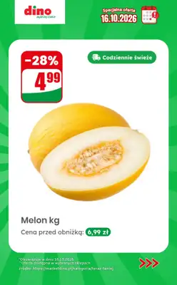 Dino - gazetka promocyjna Specjalna oferta na 16.10.2026 - promocje spoza gazetki od piątku 16.10 do piątku 16.10 - strona 9