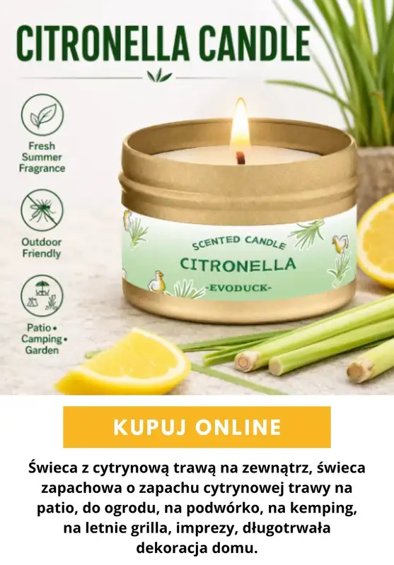AliExpress - gazetka promocyjna ŚWIECE od piątku 16.10  - strona 2