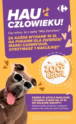 Carrefour Market - gazetka promocyjna Gazetka Carrefour Market codziennie extra okazje od poniedziałku 19.10 do soboty 24.10 - strona 8