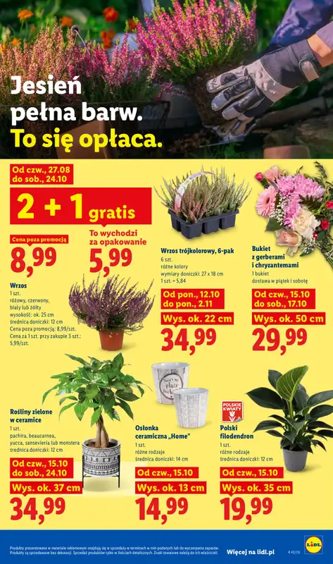 Lidl - gazetka promocyjna Oferta od czwartku od czwartku 15.10 do soboty 17.10 - strona 105