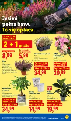 Lidl - gazetka promocyjna Oferta od poniedziałku od poniedziałku 19.10 do środy 21.10 - strona 105