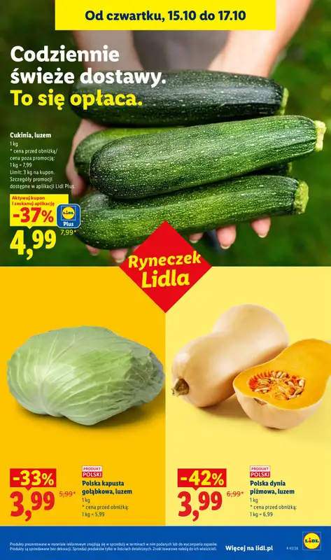 Lidl - gazetka promocyjna Oferta od poniedziałku od poniedziałku 19.10 do środy 21.10 - strona 47
