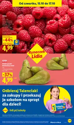 Lidl - gazetka promocyjna Oferta od poniedziałku od poniedziałku 19.10 do środy 21.10 - strona 49