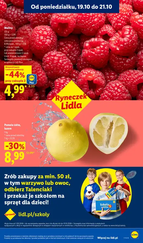 Lidl - gazetka promocyjna Oferta od poniedziałku od poniedziałku 19.10 do środy 21.10 - strona 41