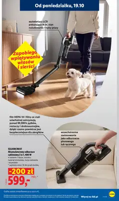 Lidl - gazetka promocyjna Oferta od poniedziałku od poniedziałku 19.10 do środy 21.10 - strona 35