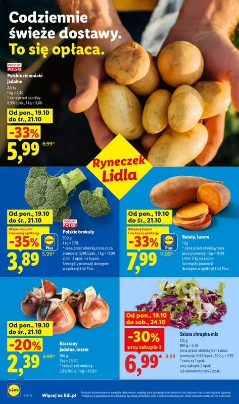 Lidl - gazetka promocyjna Oferta od poniedziałku od poniedziałku 19.10 do środy 21.10 - strona 40