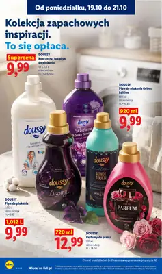 Lidl - gazetka promocyjna Oferta od poniedziałku od poniedziałku 19.10 do środy 21.10 - strona 96