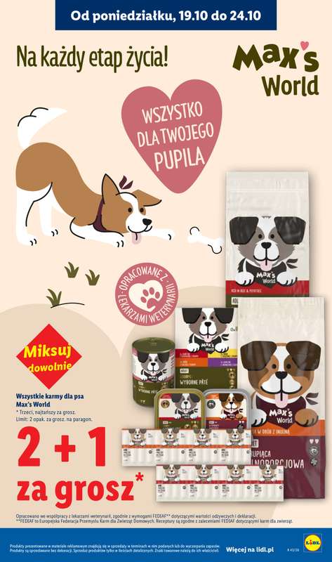 Lidl - gazetka promocyjna Oferta od poniedziałku od poniedziałku 19.10 do środy 21.10 - strona 33
