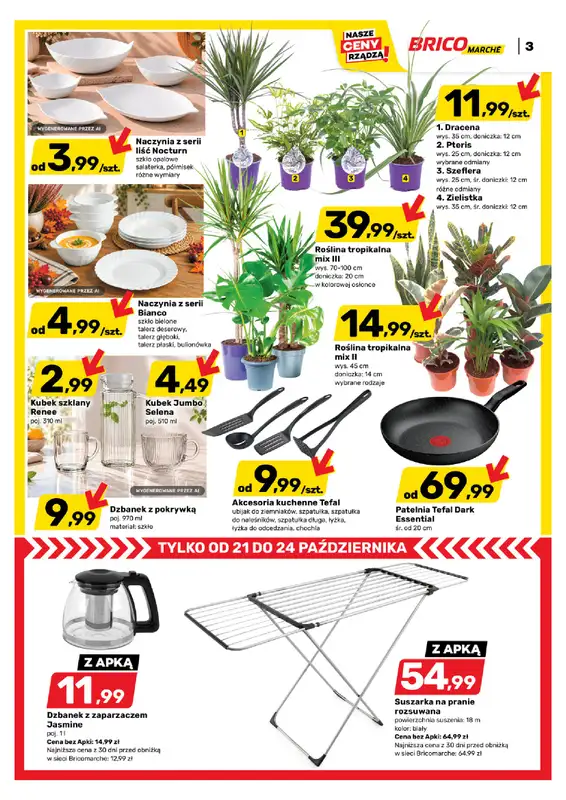 Bricomarche - gazetka promocyjna Gazetka od środy 21.10 do soboty 31.10 - strona 3