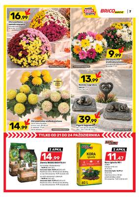 Bricomarche - gazetka promocyjna Gazetka od środy 21.10 do soboty 31.10 - strona 8