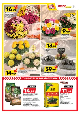Bricomarche - gazetka promocyjna Gazetka od środy 21.10 do soboty 31.10 - strona 8