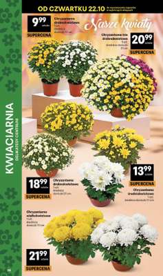 Delikatesy Centrum - gazetka promocyjna Gazetka od czwartku 22.10 do środy 28.10 - strona 38