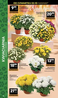 Delikatesy Centrum - gazetka promocyjna Gazetka od czwartku 22.10 do środy 28.10 - strona 38