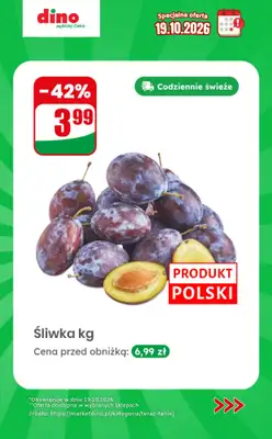 Dino - gazetka promocyjna Specjalna oferta na 19.10.2026 - promocje spoza gazetki od poniedziałku 19.10 do poniedziałku 19.10 - strona 4