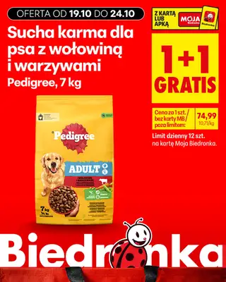 Biedronka - gazetka promocyjna Biedronkowe oszczędności od poniedziałku od poniedziałku 19.10 do środy 21.10 - strona 20