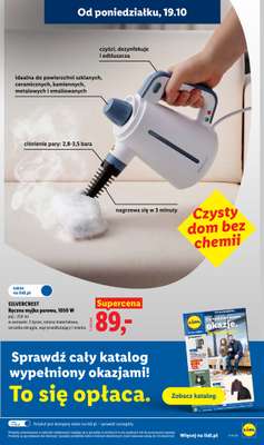 Lidl - gazetka promocyjna Oferta od poniedziałku od poniedziałku 19.10 do środy 21.10 - strona 37