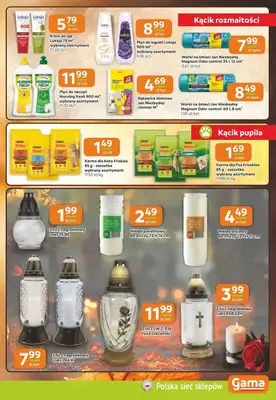 Gama - gazetka promocyjna Gazetka od czwartku 22.10 do wtorku 03.11 - strona 9