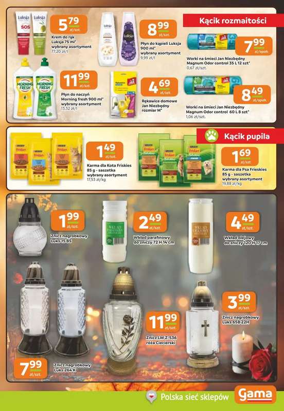 Gama - gazetka promocyjna Gazetka od czwartku 22.10 do wtorku 03.11 - strona 9