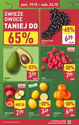 Aldi - gazetka promocyjna Pełny katalog! od poniedziałku 19.10 do soboty 24.10 - strona 3
