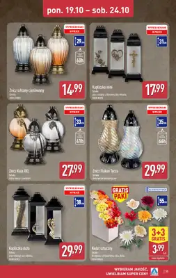 Aldi - gazetka promocyjna Pełny katalog! od poniedziałku 19.10 do soboty 24.10 - strona 35