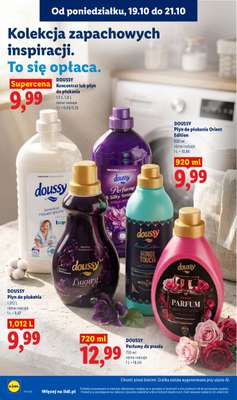 Lidl - gazetka promocyjna Oferta od poniedziałku od poniedziałku 19.10 do środy 21.10 - strona 96