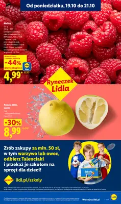 Lidl - gazetka promocyjna Oferta od poniedziałku od poniedziałku 19.10 do środy 21.10 - strona 41