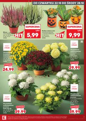 Kaufland - gazetka promocyjna Gazetka Tygodnia od czwartku 22.10 do środy 28.10 - strona 7